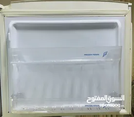  10 ثلاجة (18) قدم يونيون مصري