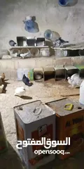  2 حمام للبيع اجنبي نخب البيع بداعي السفر في اجواز تحتيهم افراخ لاتقولي السوق نازل الحمام الحشم سعرو بي