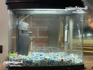  1 حوض سمك مع فلتر واضاءه لون ابيض