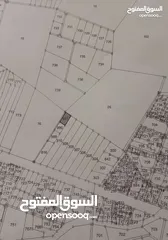  3 قطعة ارض في المفرق بمساحة 4000 م2