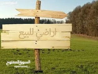  2 قطعة ارض في نابلس الجديدة مساحتها 500 متر مستوية لا تحتاج الى جرف اراضي سلطة أ