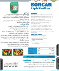  21 داون سفن مصنع سماد الشمال