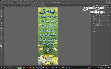  1 ابو يامن لجميع انواع الكتاكيت