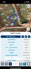  1 السرو الحنوبي ابوطاره