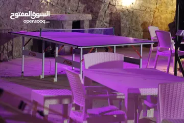 22 شالية رمسيس  Ramesses Chalet وسط اجمل غابات عجلون أطلالة بانورامية