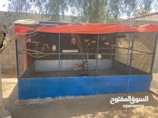  2 Birds cage goats cage in Ajman