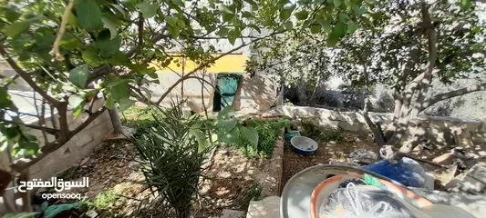  6 بيت مع ارض للبيع