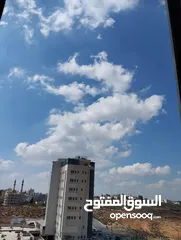  10 روف بسردا بسعر مرتب