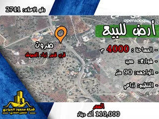  1 رقم الاعلان (2741) ارض للبيع في منطقة صروت