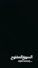  17 جاغوار xe 2019