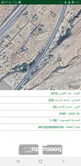  9 قطع أراضي للبيع في منطقة الروضة حوض منسف ابو زيد مطلة على البحر الميت