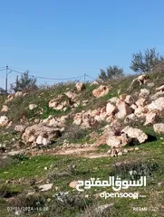  17 1200م حوض صبحه منطقة فلل اطلاله غربيه بسعر مغري