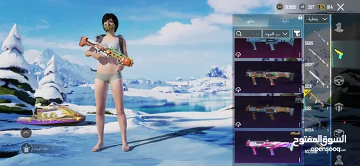  29 أحساب ببجي البيع