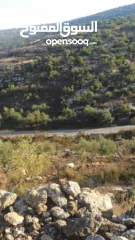  30 القبة الذهبية  اراضي بلعا دير الغصون