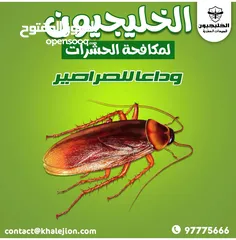  8 الخليجيون مكافحه حشرات وقوارض