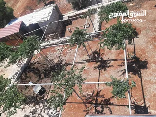  10 منزل للبيع