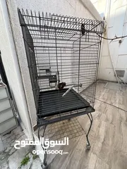  2 Bird cage for sale