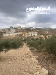  1 دونم ارض في قوصين قرب الجاردنز