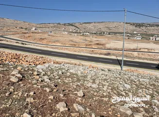  3 قطعة ارض بطلوزة كوشان مستقل مفروز