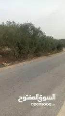  11 القبة الذهبية  اراضي بلعا دير الغصون