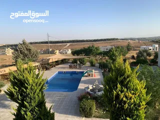  1 Furnished apartment for rent near ICS school. شقه مفروشه للايجار بجانب مدرسه الجاليه الدوليه ICS.