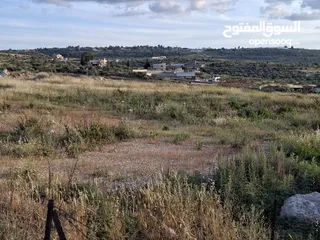  4 دونمين ارض طابوا فلسطنيني عاى الشارع الرئيسي مباشرة طولكرم الراس