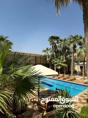  6 شاليه للأيجار اليومي البحر الميت