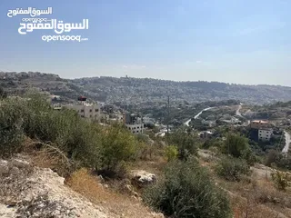  3 (1)ارض للبيع في الرباحية الجنوبية بمساحة 599 متر منطقة جديدة و هادئة جداً فلل جديدة