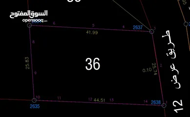  3 ارض منطقة أ ذات أبعاد واطلاله مميزة 1101 متر كوشان مفروز