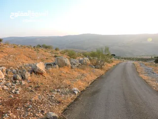  5 قطعة أرض مميزة في أجمل مناطق كفير جرش