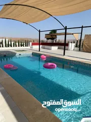  21 اوليفز هل فارم olives hill farm مزرعة فخمة للايجار