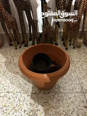  2 Pots for plants