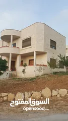  4 فيلا مميزه ومطلة و مخدومة   علا شارعين للبيع للبيع السعر جيد جدا