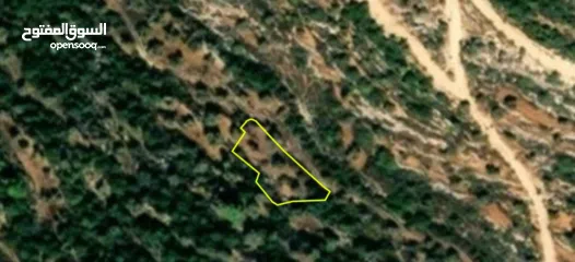  1 ارض طابو زتون تصنيف b