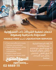  1 خدمات تصفية الشركات ذات المسؤولية المحدودة باحترافية وسهولة! - Hassle-Free L.L.C Liquidation