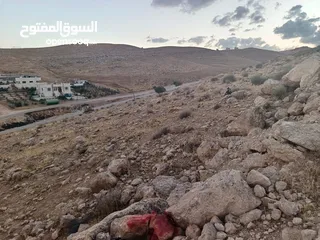  14 قطعة ارض مميزة جدا في ضاحية المدينة