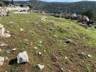  9 ارض للبيع في عجلون