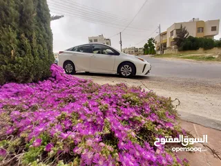  23 تيوتا بريوس 2019