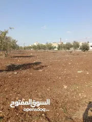  4 ارض للبيع بسعر مناسب جداً