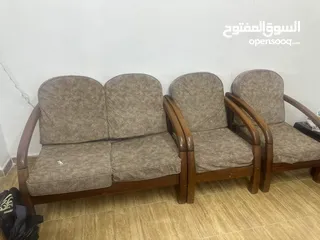  6 مورس للبيع خشب زان