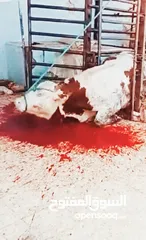  1 لحام متنقل