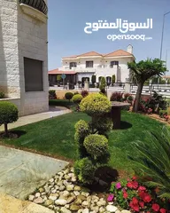  20 نجيل طبيعي للحدائق M5 - صنف وعرض مميز