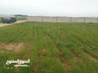 4 ارض للبيع في اجمل مناطق الرجم الشامي في سحاب