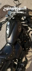  1 باندا كلاسيك
