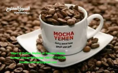  4 Yemen is one of the most renowned countries in the world for coffee cultivation, distinguished by it