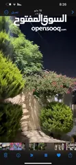  2 شقة للبيع بعين الباشا حي المصانع