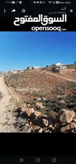  3 قطعة أرض مميزة قوشان مستقل قرية النبي هود