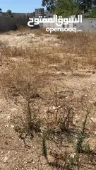  4 ارض مميزة للبيع