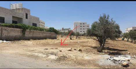  1 أرض للبيع في حي الباير _الجويدة من المالك مباشرة 500 م