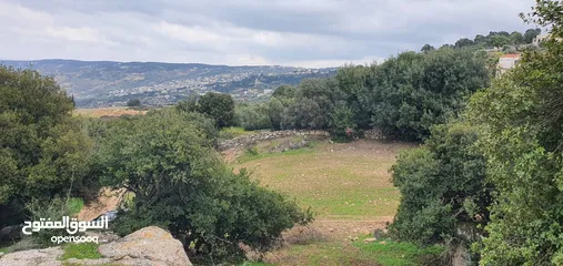  4 زي 1600 م منطقة حرجيه